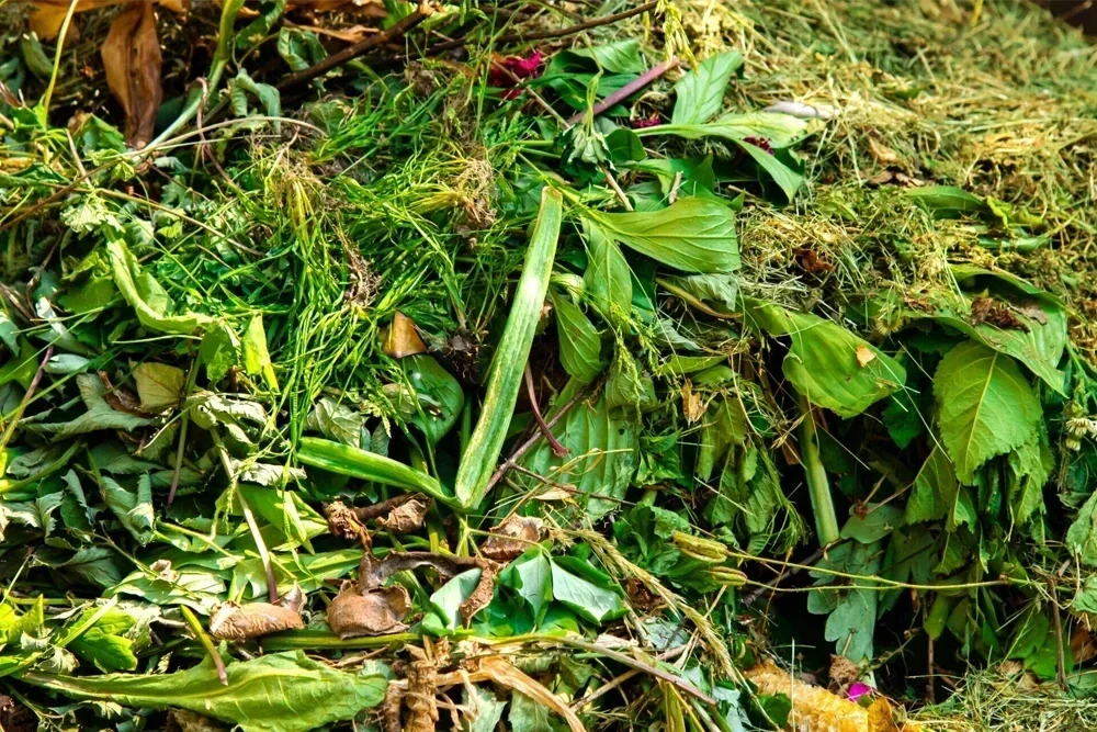 dechets verts dechetterie morbihan tb recyclage